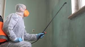 Normandy, MO Mold Remediation Company